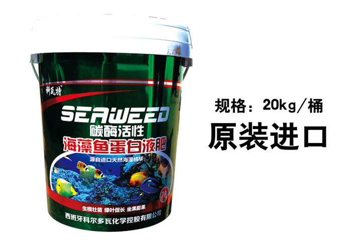 �����㵰��Һ��